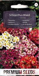 Schizanthus Mixed Seed